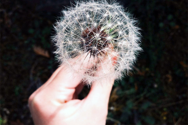 云呼短信测压网页版