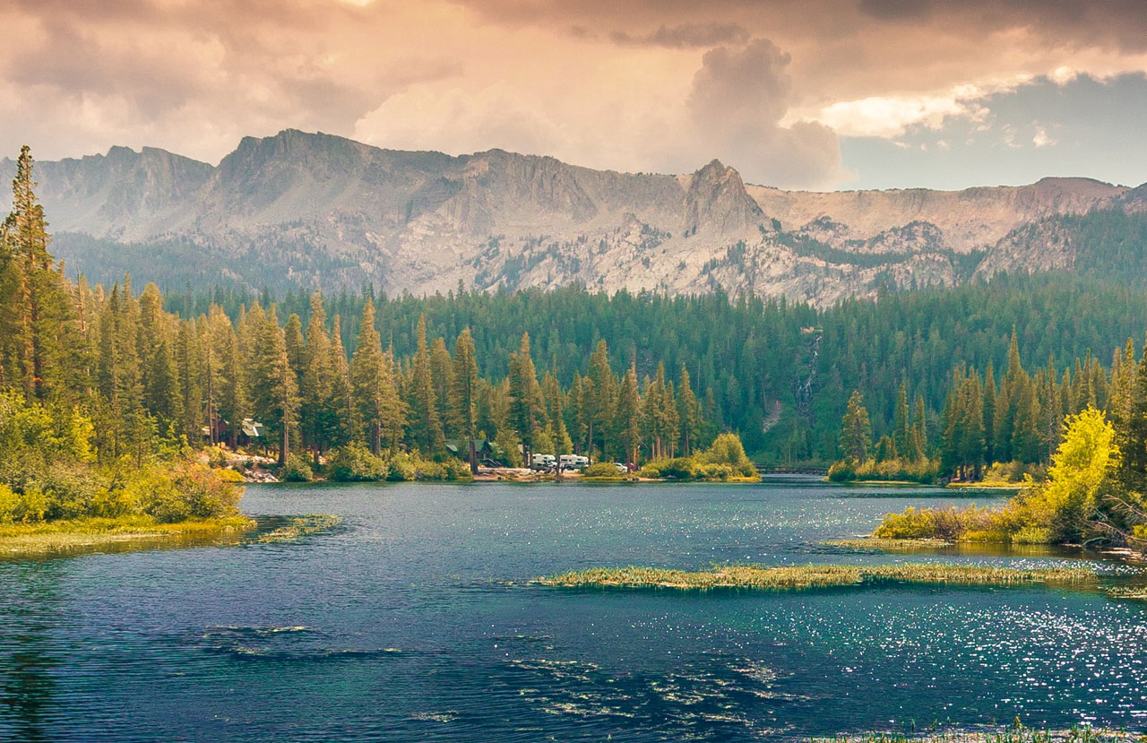 网页版短信攻击