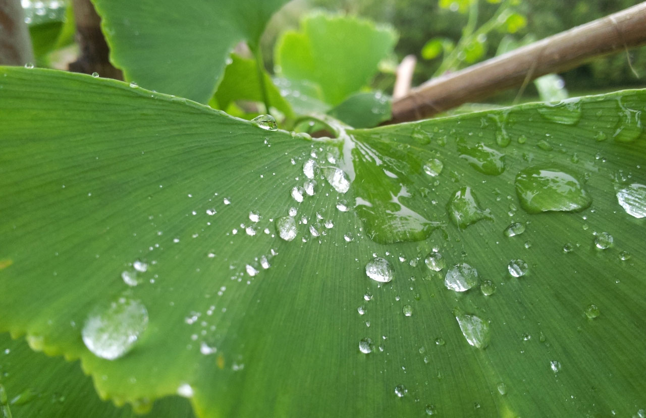 正品货源可靠的在线呼叫网页版软件